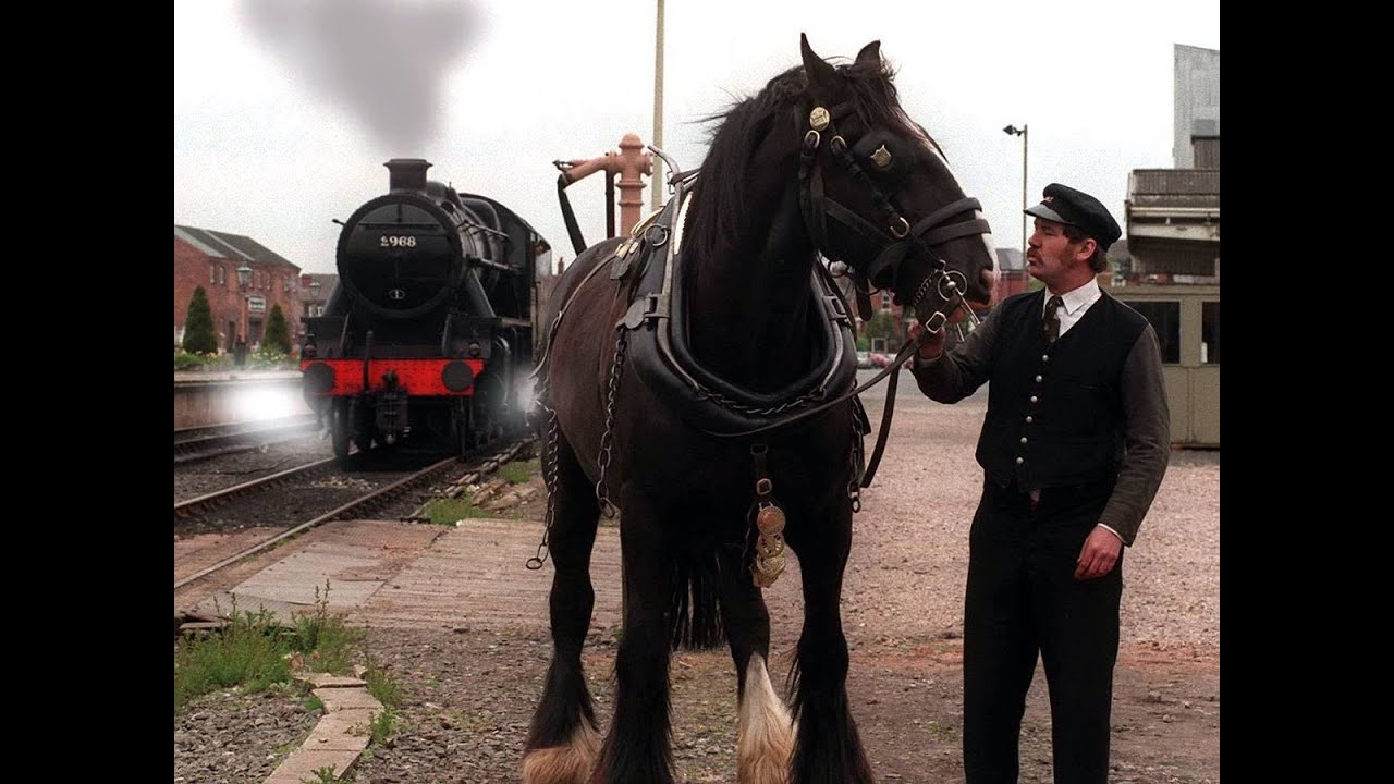 The Equine Railways