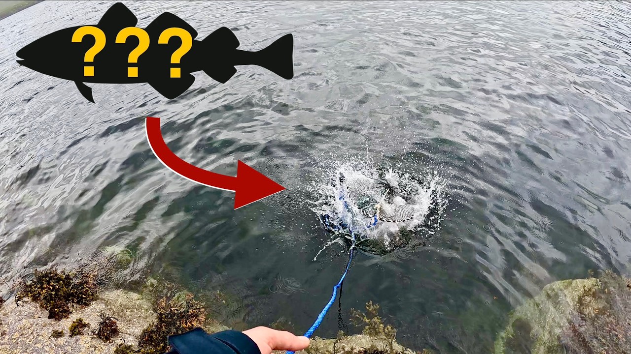 Unbelievable Catch in the New Crab Pot!
