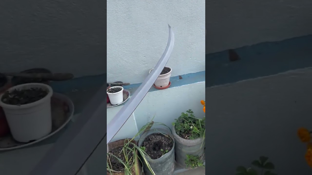 29 inches#long#long#blade#flax#handed#large#seord#working#sword#full#tang#forged#shorts#subscribe