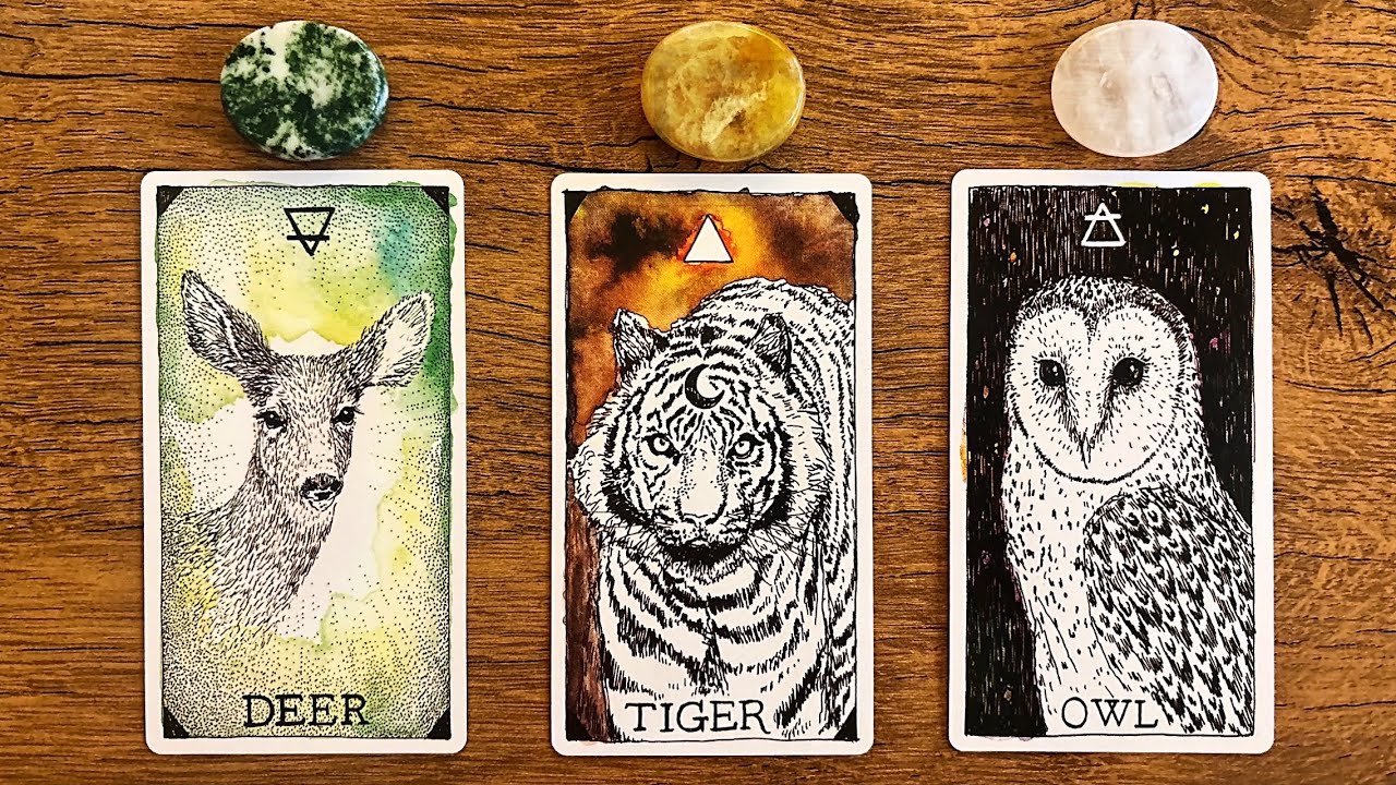 📩URGENT MESSAGE FROM YOUR FUTURE SELF! 🍀🌙✨ | Pick a Card Tarot Reading