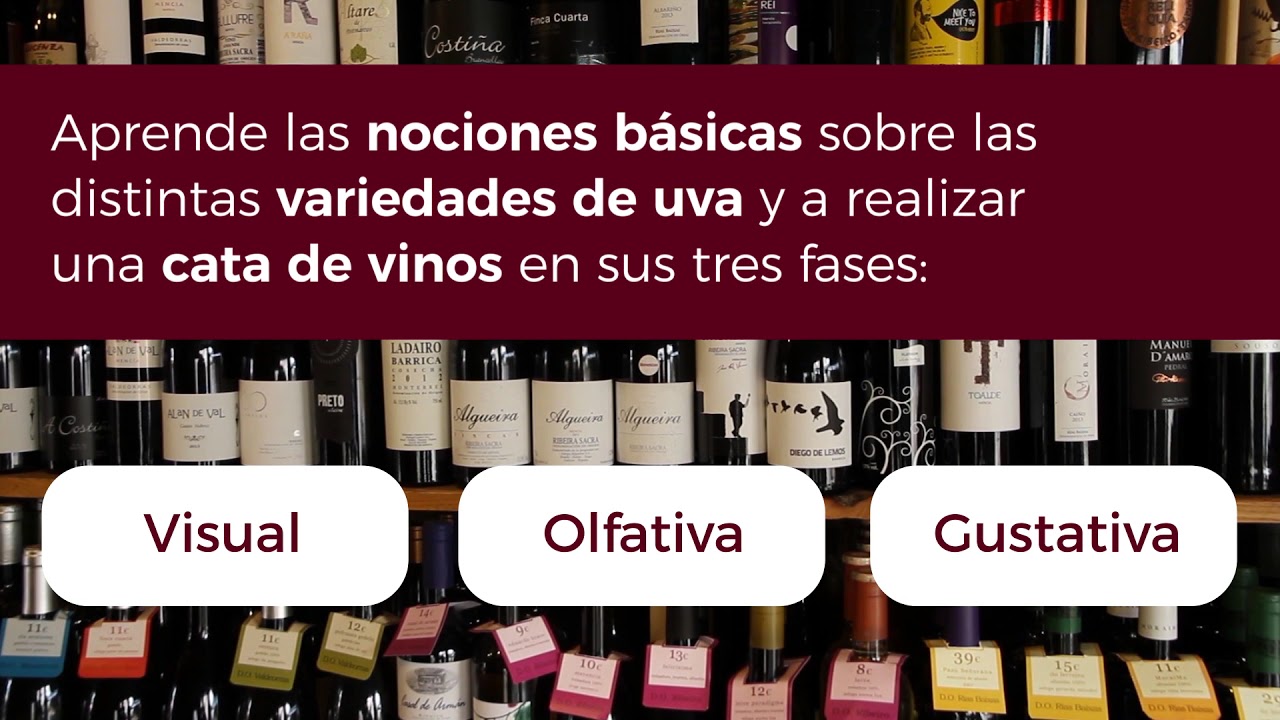 Curso online gratuito de Cata de Vinos: Maridaje y Sumiller&iacute;a