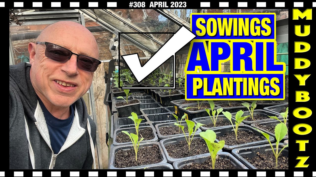 🌻308 🌻 WHAT SEEDS TO SOW IN APRIL 🌻 WHAT TO PLANT IN APRIL