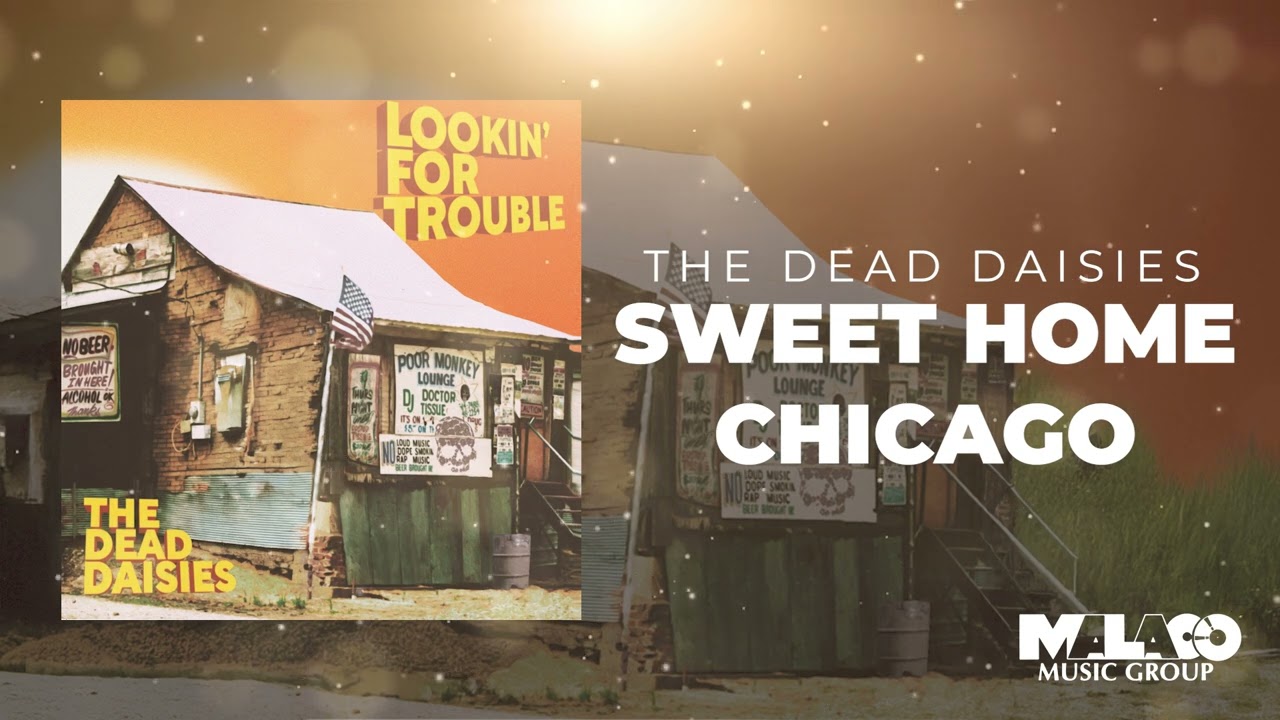 The Dead Daisies - Sweet Home Chicago (Visualizer)