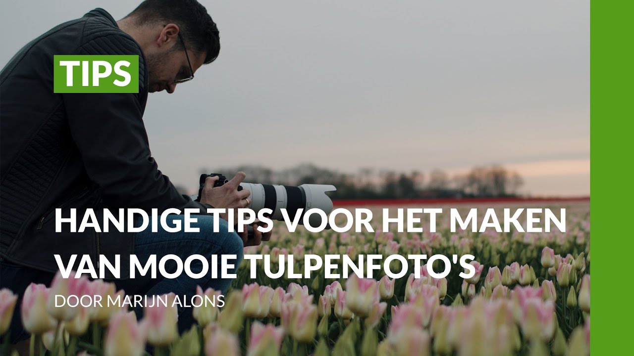 8 tips om de mooiste tulpenfoto's te maken | Tulpenfotografie | Tips