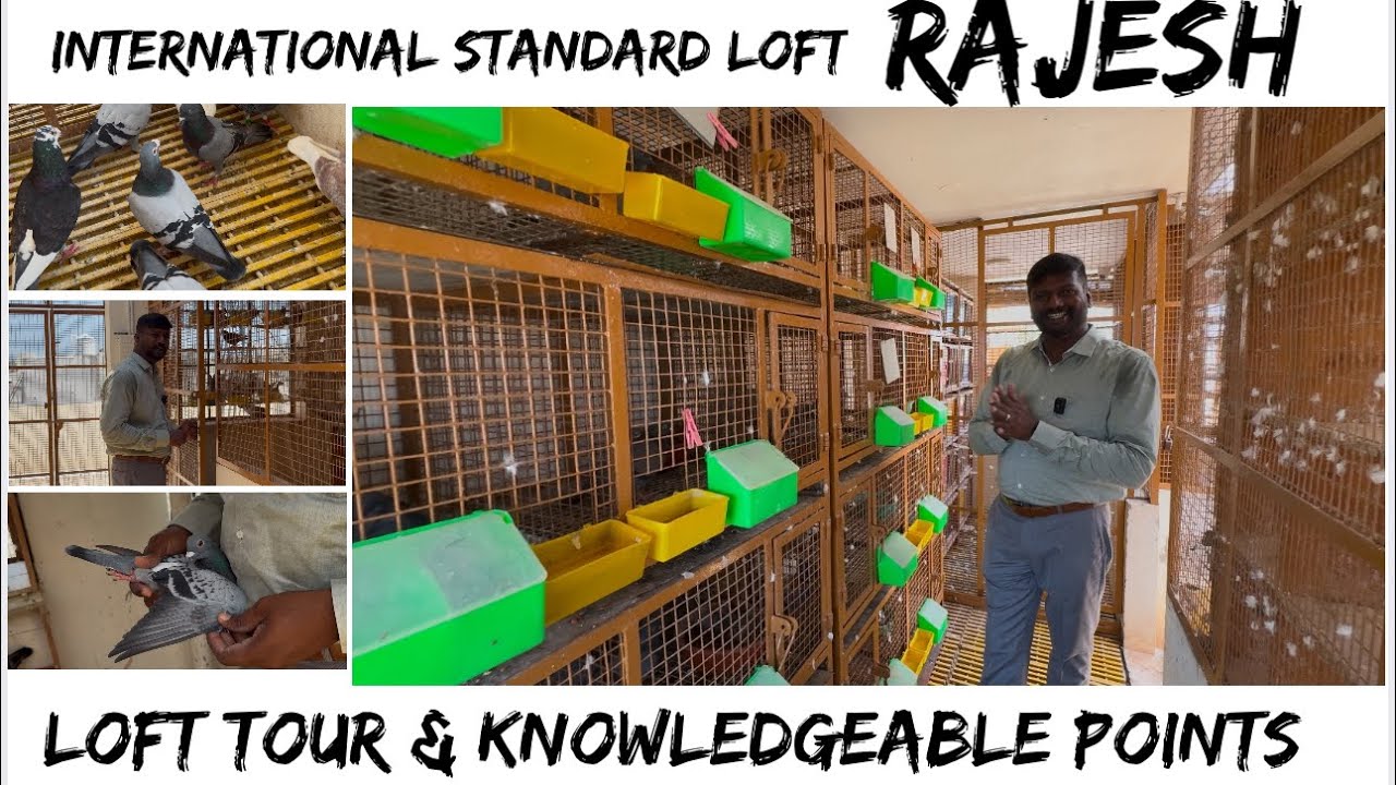 Rajesh Puducherry , loft ￼tour & knowledgeable points ￼
