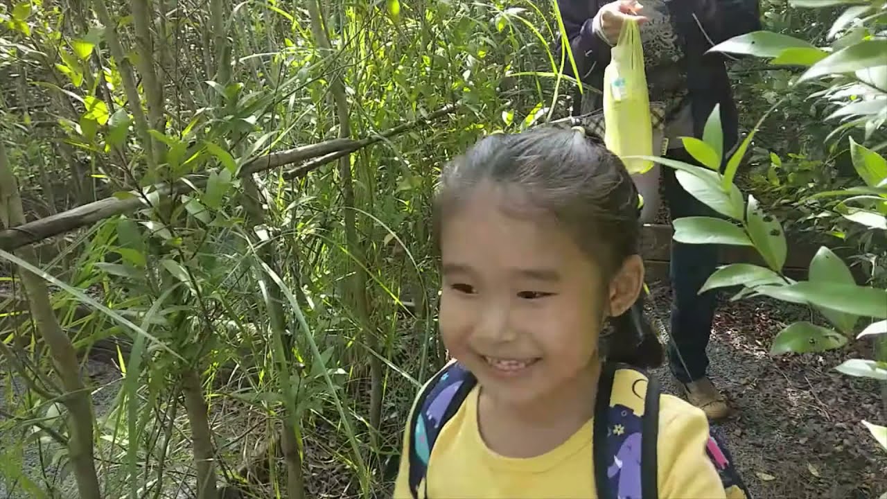 AshCapade's at Taiwan Sugar Factory Museum Part 1