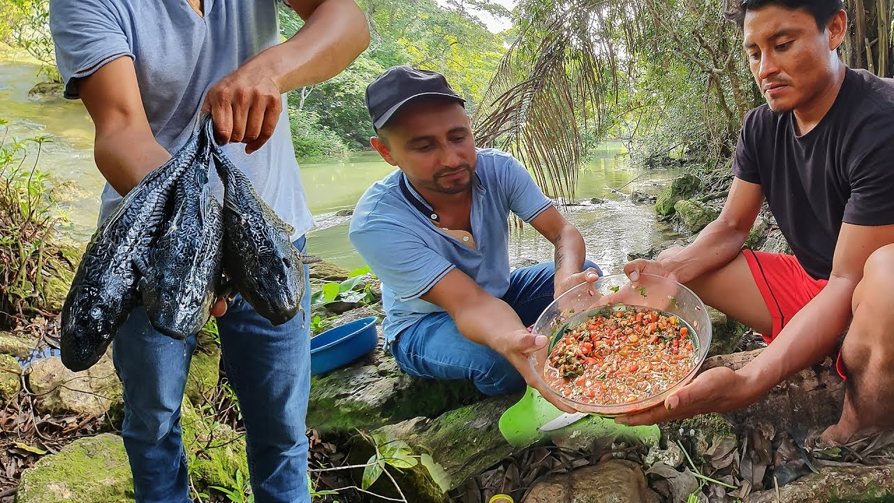 Cocina de Pez Diablo En Ceviche Pesca y Cocina
