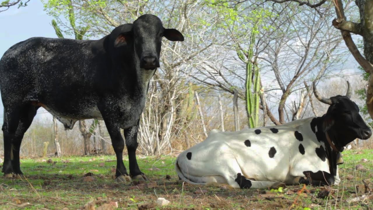 Uma nova realidade