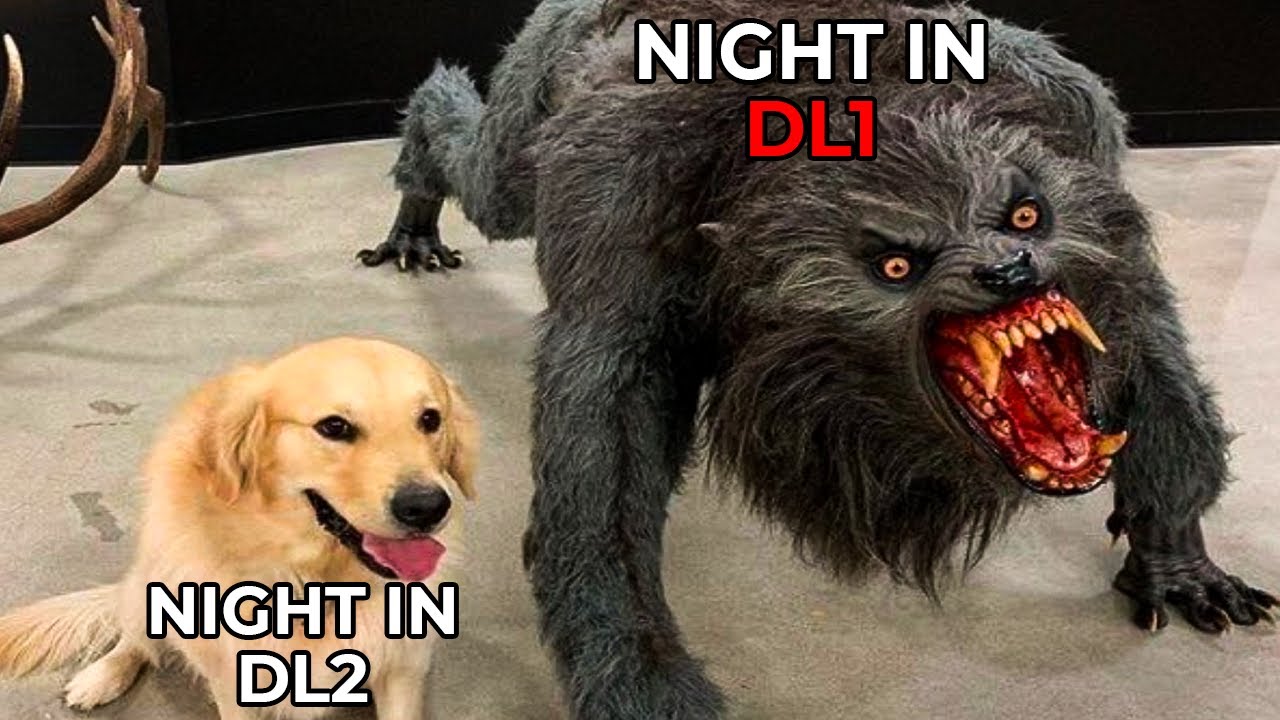 DYING LIGHT 2 MEMES