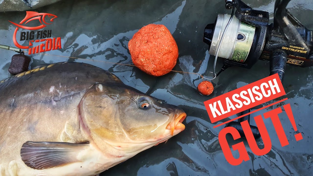 Besser als Boilie? Klassischer Teig fängt Karpfen