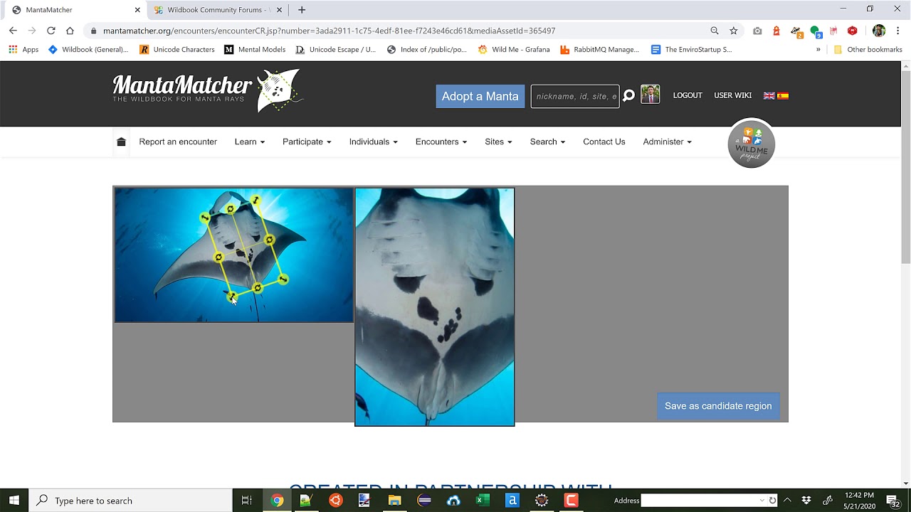 Adding HotSpotter to MantaMatcher.org