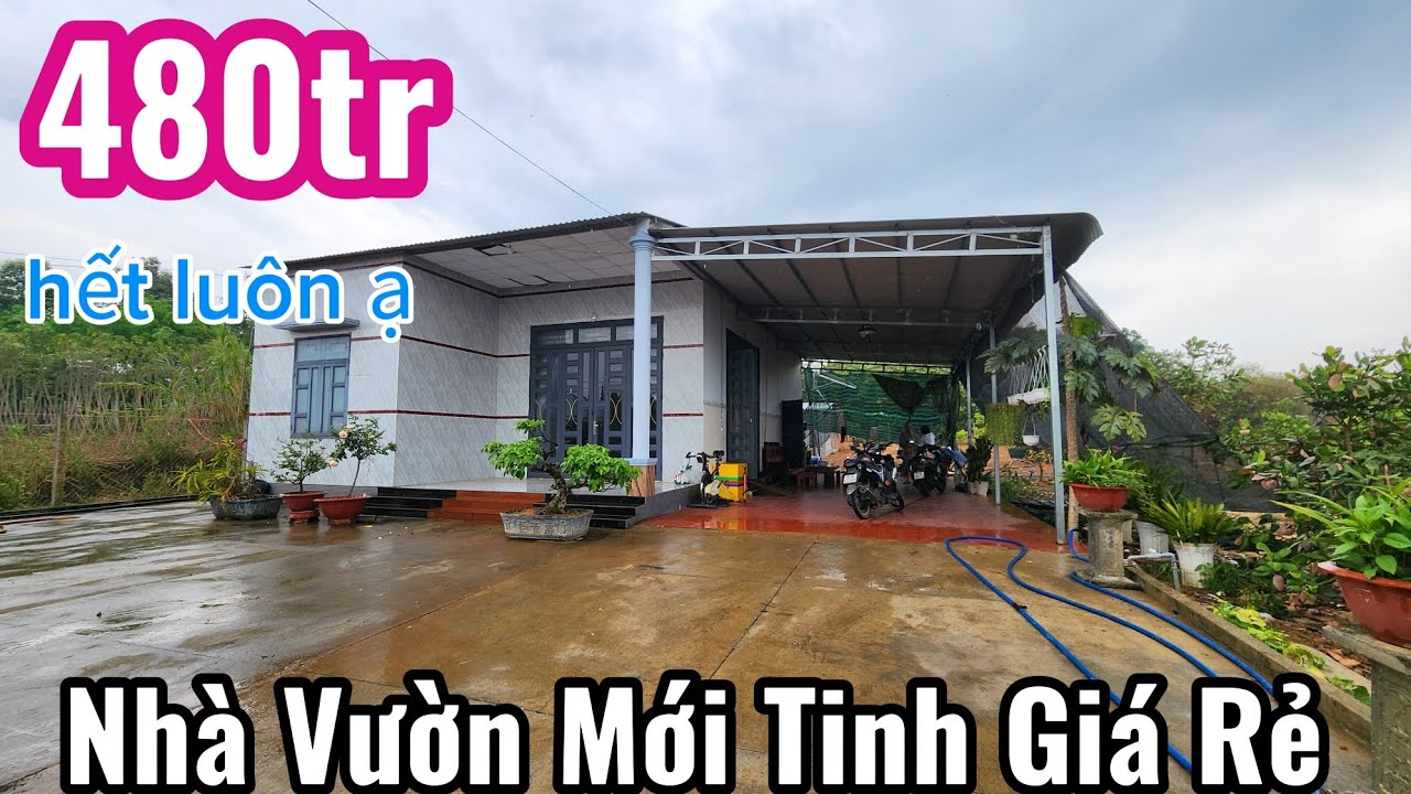 S.66.Nhà Vườn Mới Tinh Giá Rẻ Bất Ngờ (17x60x60)Bán hết giá 480tr gặp  chính chủ luôn ạ 