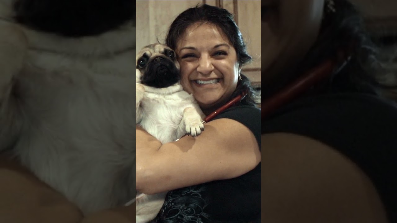 Pet Parent Prefers Integrative Veterinary Care for Her Pugs #shorts