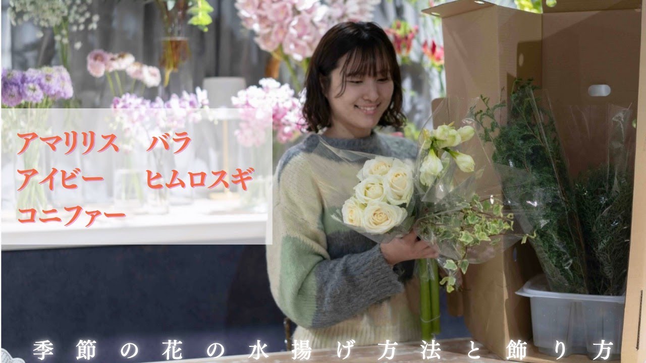 季節の花の水揚げ方法　アマリリス　バラ 　アイビー 　ヒムロスギ　コニファー市場直送便　12/20・23日