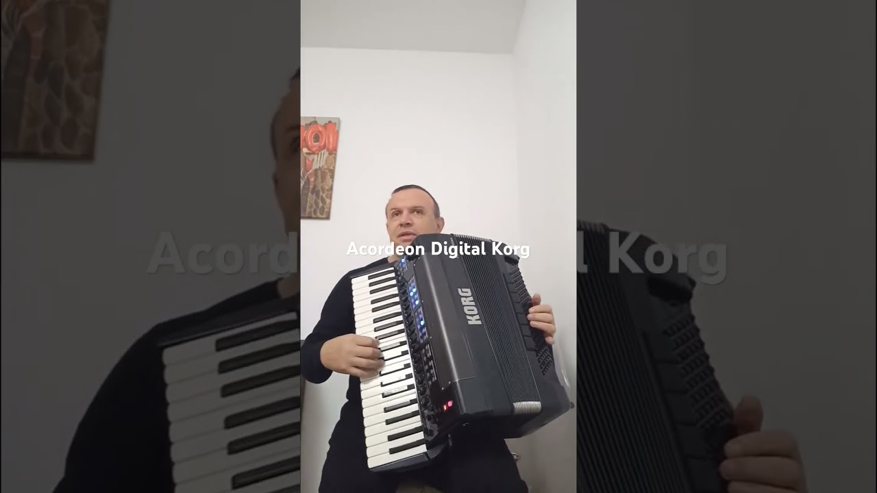 Acordeon KORG  ultima noutate 2025
