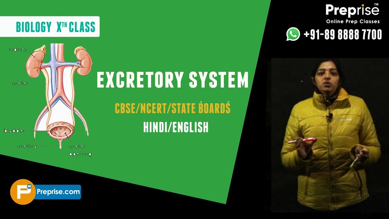Excretory System || Biology || Human Body || Hindi/English By Preprise.com