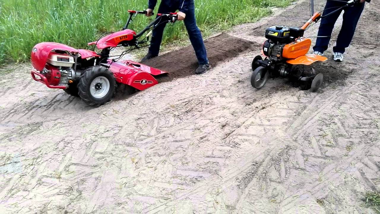 Glebogryzarka Konin Turek Kalisz Poznań Koło wynajme 180 zł doba tel 693563841