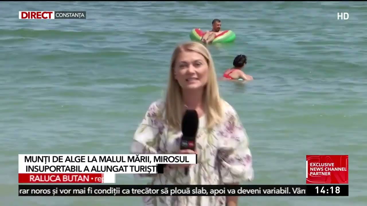 Munţi de alge la malul mării. Mirosul insuportabil a alungat turiştii