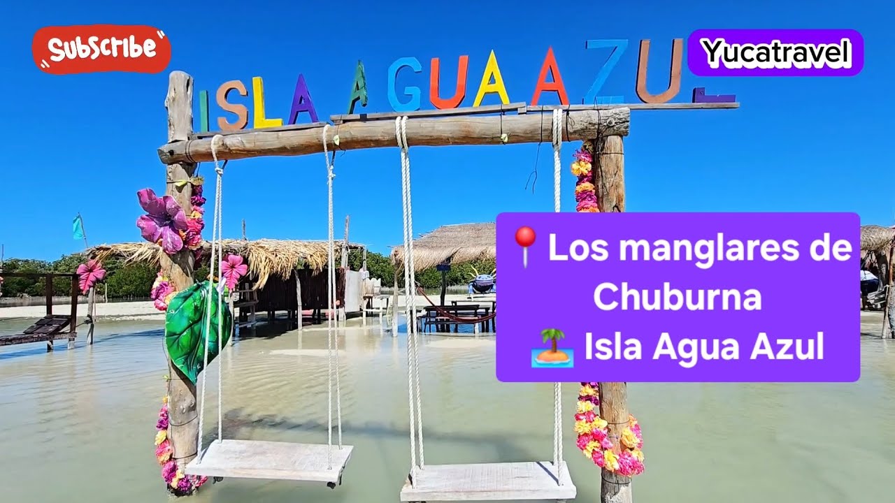 Los manglares de Chuburna | Isla Agua Azul | Isla columpios #mexico #churbuna #vairalshort #beach