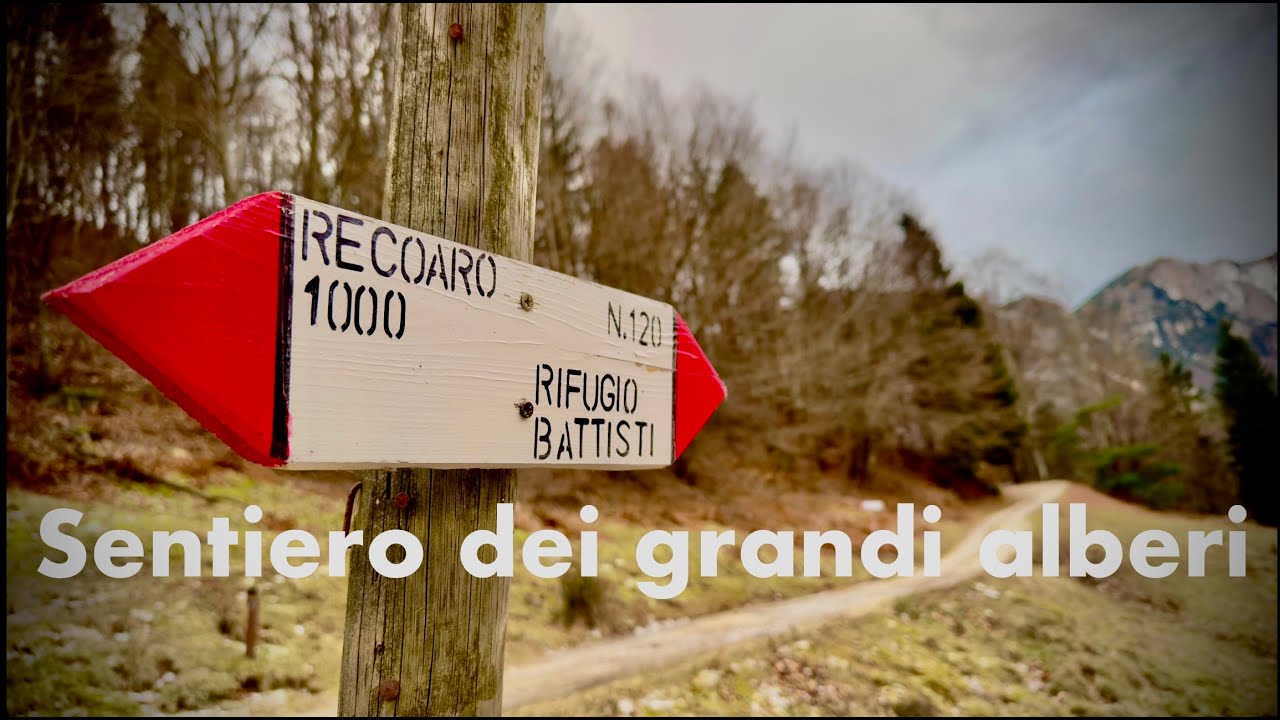 Recoaro - Sentiero grandi alberi - traccia GPX in descrizione.