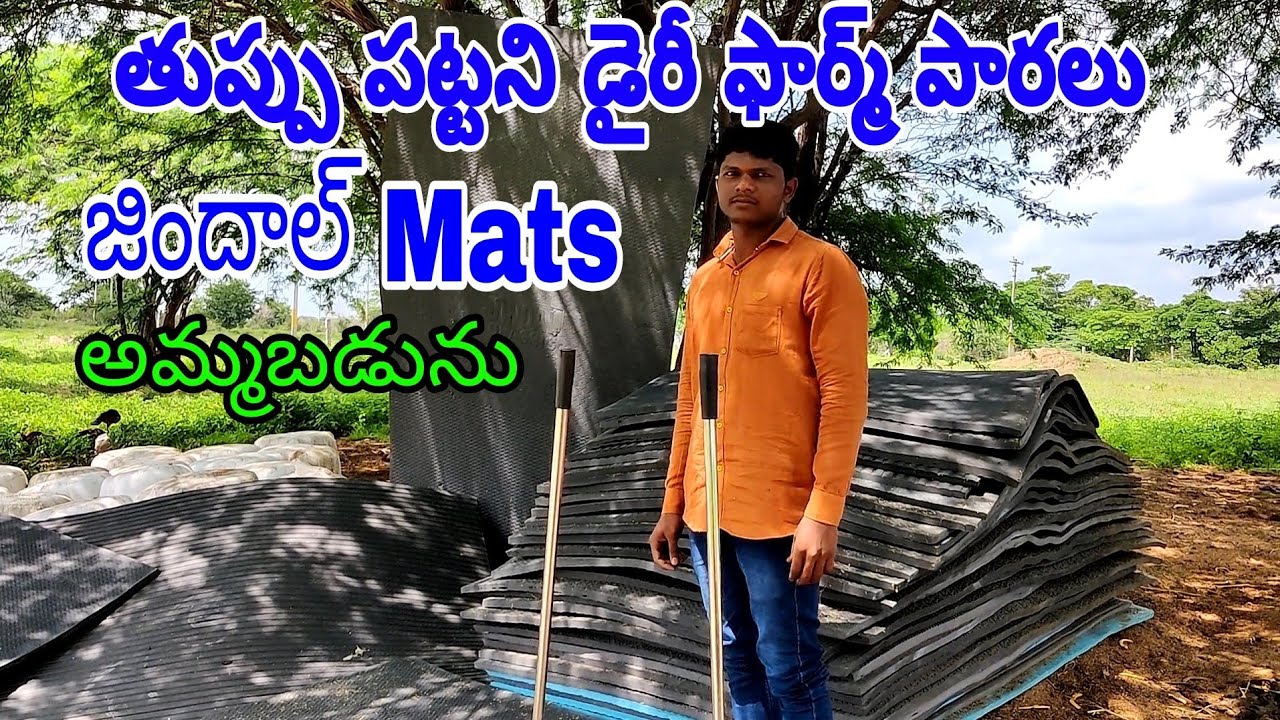 Dairy farm Cow Mats and Equipments in Hyderabad 7989679402