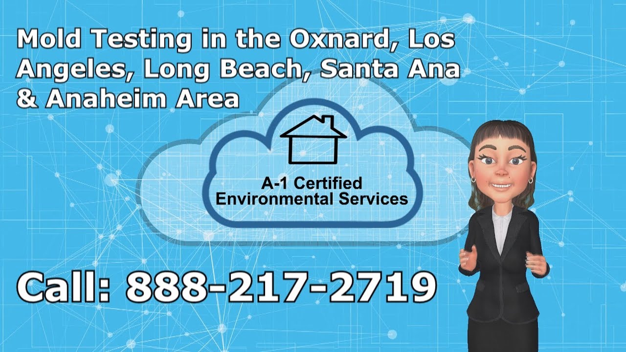 Mold Testing Oxnard