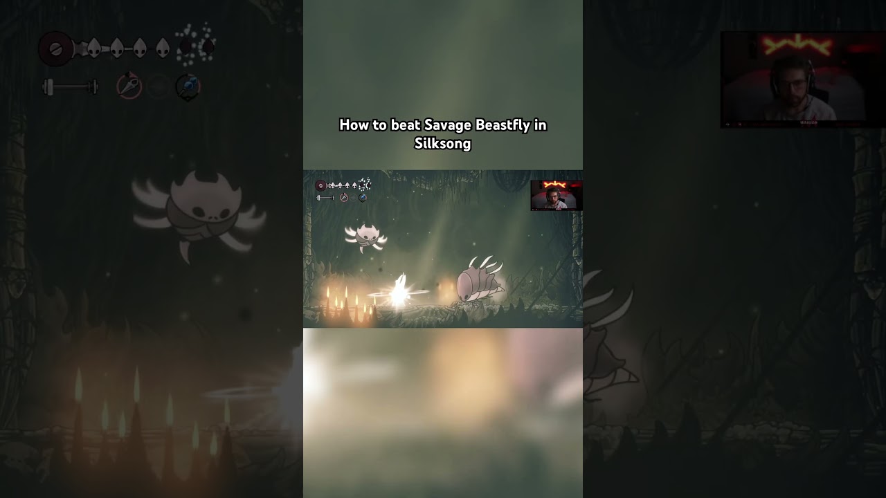 How to beat Savage Beastfly in Silksong🗡️
