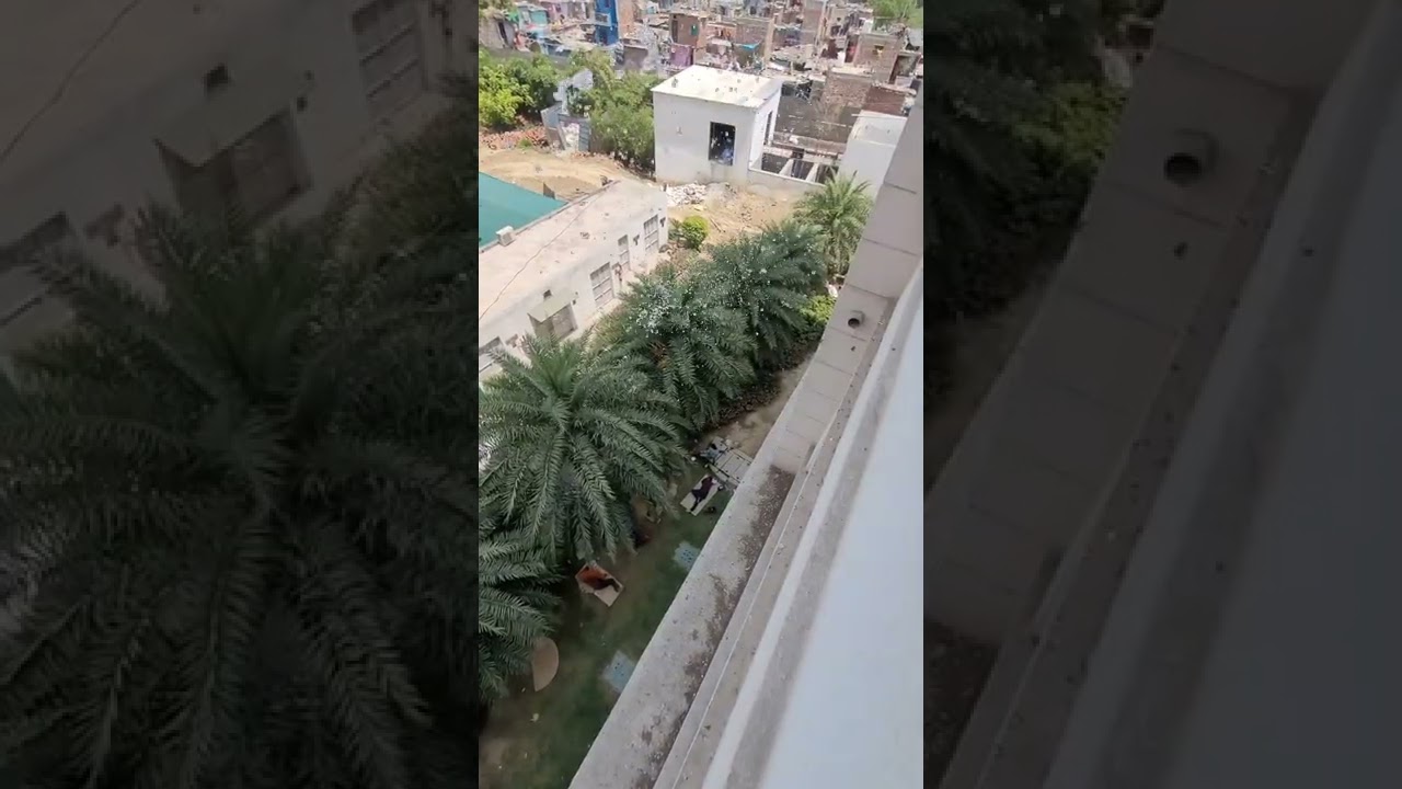 JUST COLLEGE THINGS | VIPS COLLEGE | BJMC