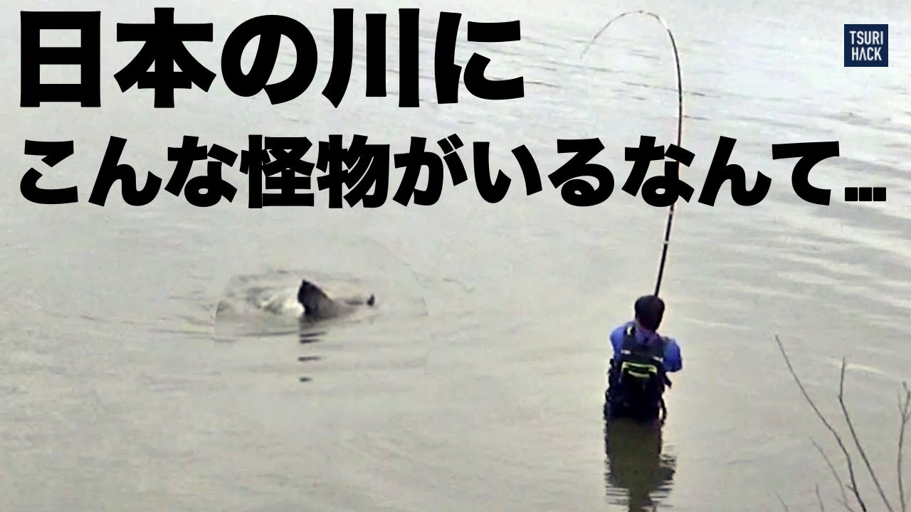 【奇跡】“数年かけても釣れない”という、幻の巨大魚との出会い。釣りは本当に素晴らしい趣味だと思う。