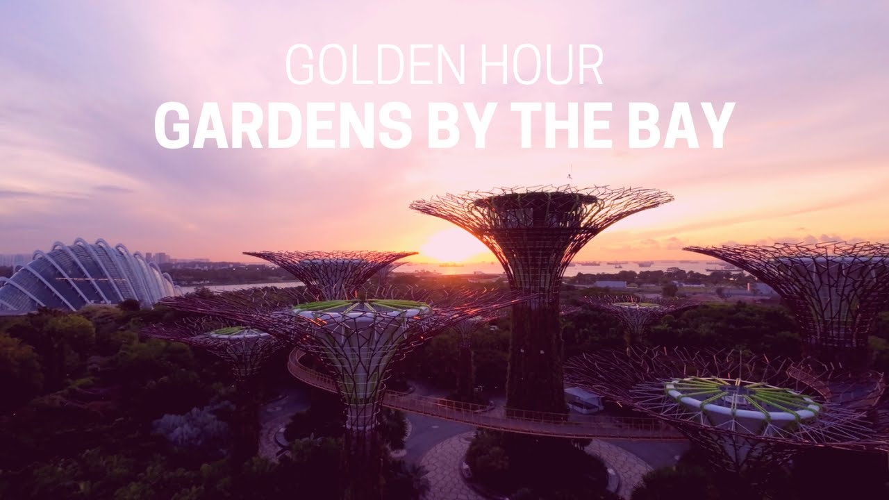 [4K] THIS IS HOW GOLDEN HOUR LOOKS LIKE!🍀🇸🇬 Gardens by the bay