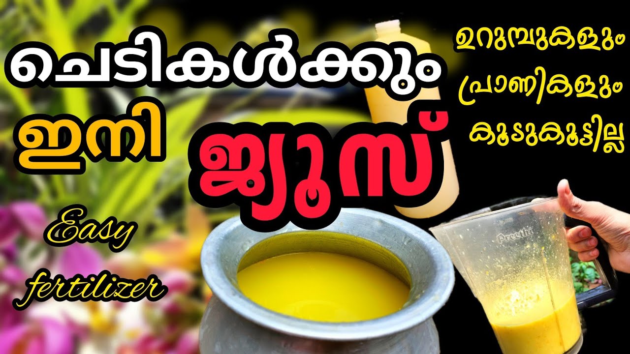 ചെടികൾക്കും പച്ചക്കറികൾക്കും ഒരുപോലെ ഉപയോഗിക്കാം ||Easy Fertilizer||Fertilizer Making Malayalam||