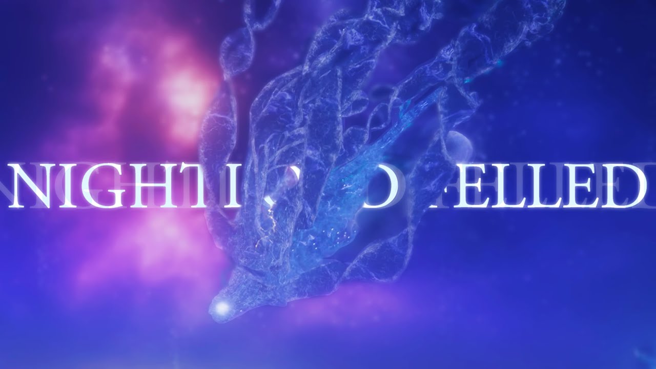 Maris, Fathom of Night - No Hit/Damage (4k)  | Elden Ring Nightrein