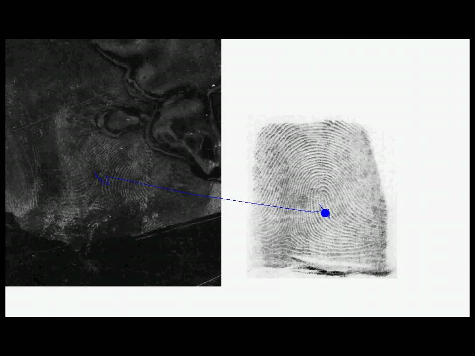 Eyetracking for Fingerprint Matching