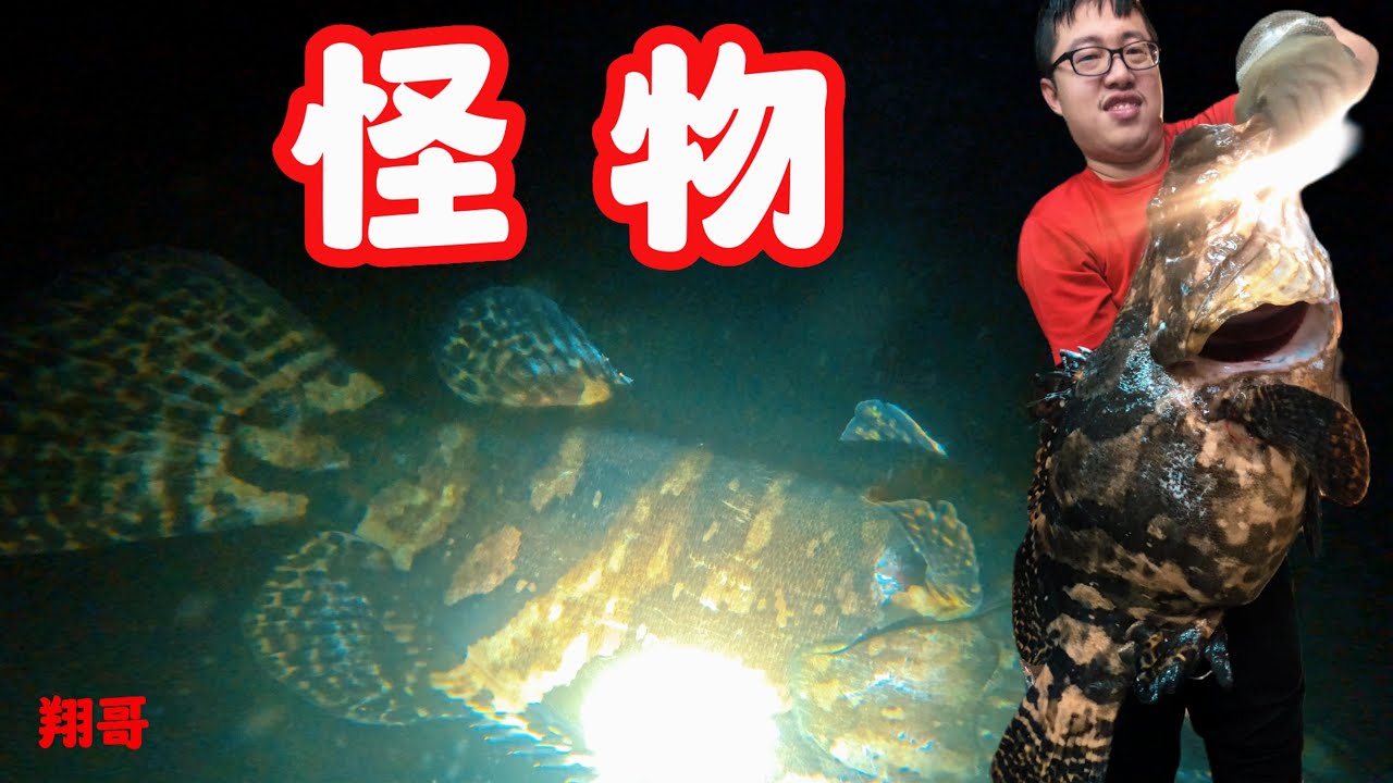 《自由潛水打魚釣魚》放蟹籠意外遇到怪物 學大谷翔平開
