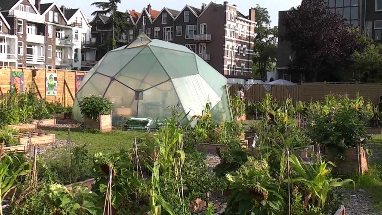 (HD) Moestuinman Permacultuur Rotterdam