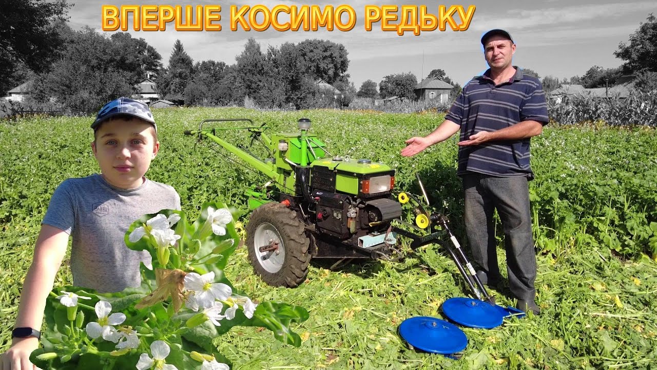 Ефективне ДОБРИВО для ГОРОДУ за 45 днів !!!