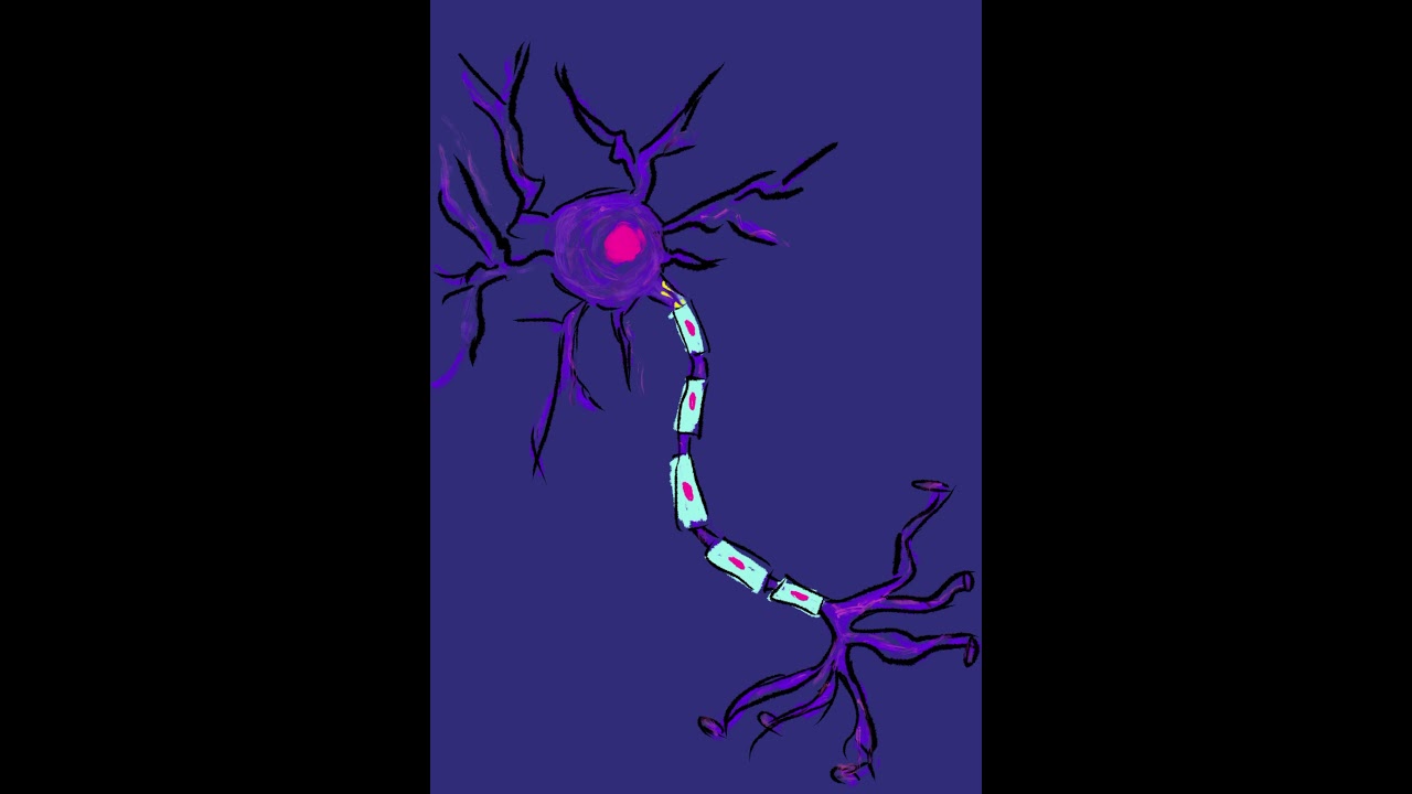 Action Potential in a Neuron