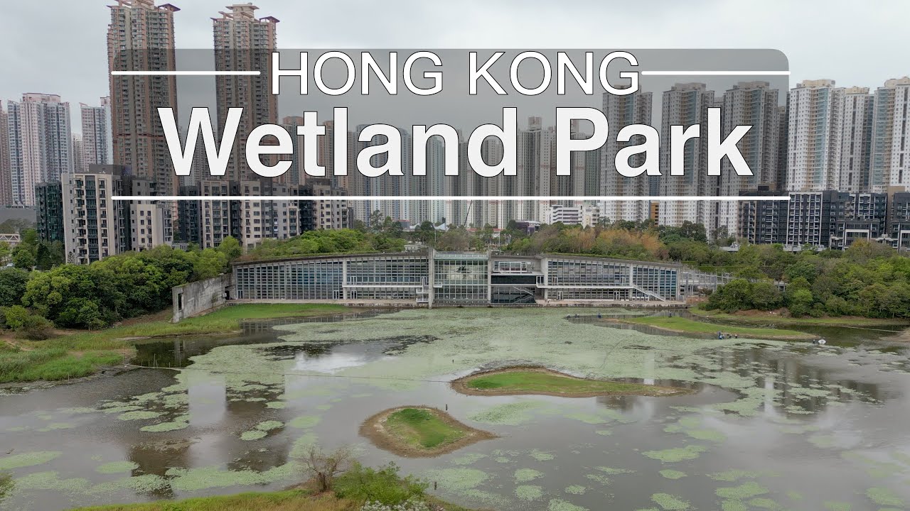 Wetland Park Hong Kong | 香港濕地公園 | Drone Cinematic 4K