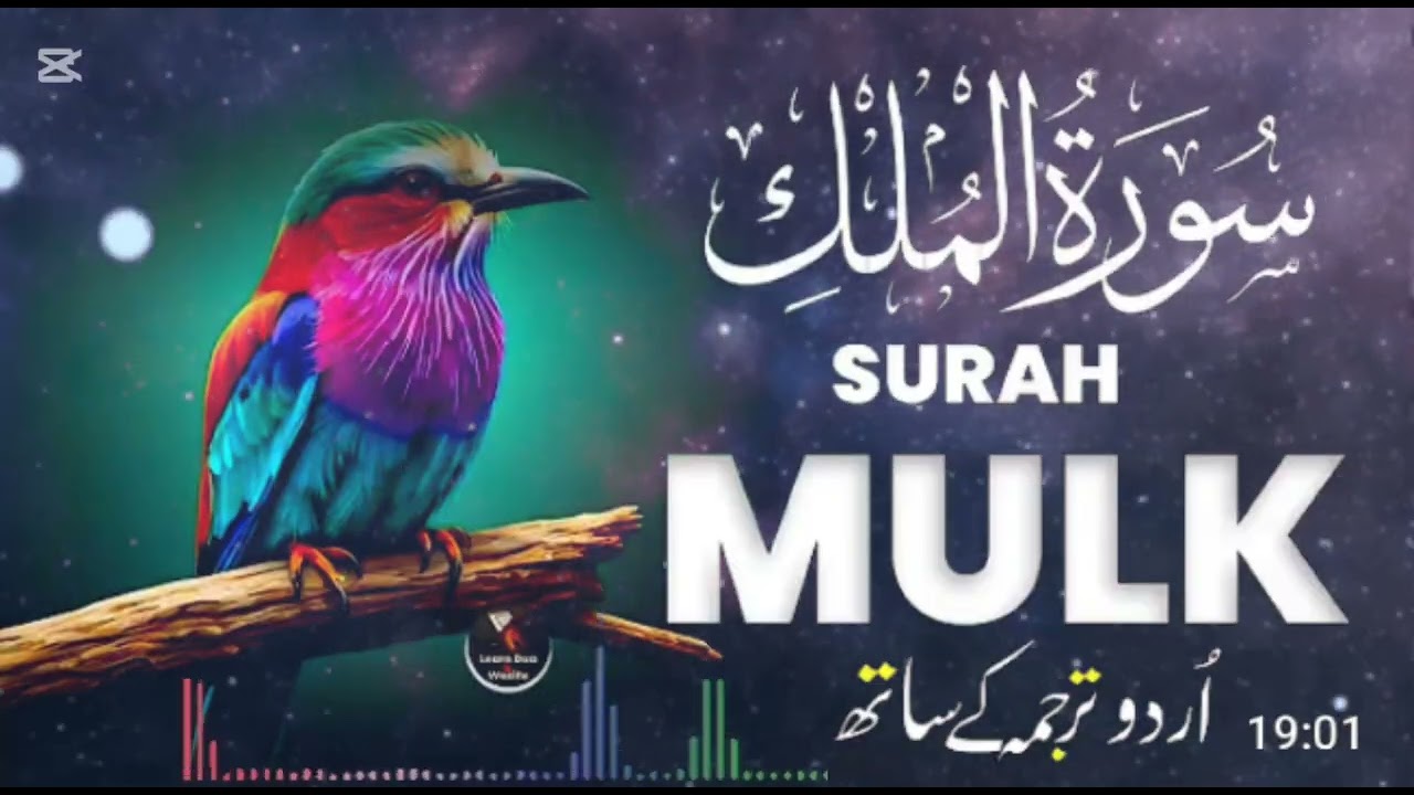 Surah mulk 