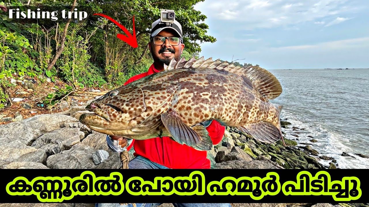 Fishing Trip video🎣 || കണ്ണൂരിൽ പോയി മീൻ പിടിച്ചു ||  ഹമൂർ മാത്രം 😳😳 (psycho angler)