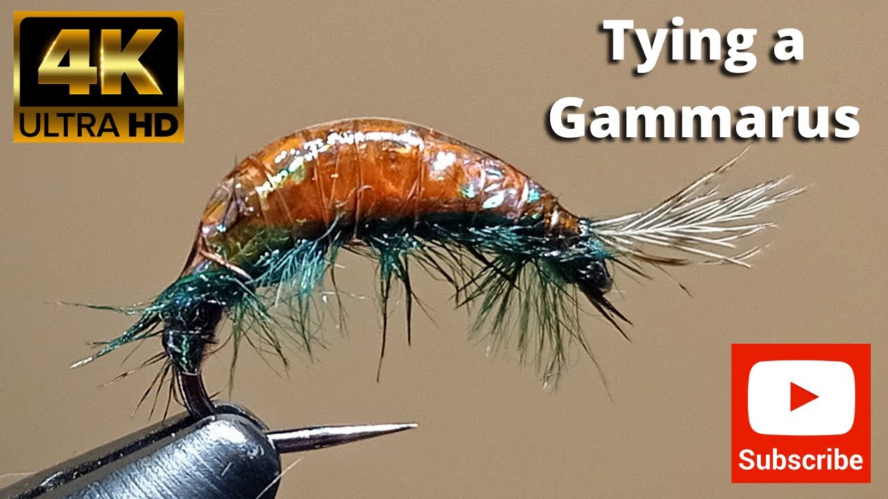 Tying a Flash Scud Gammarus by George 4K