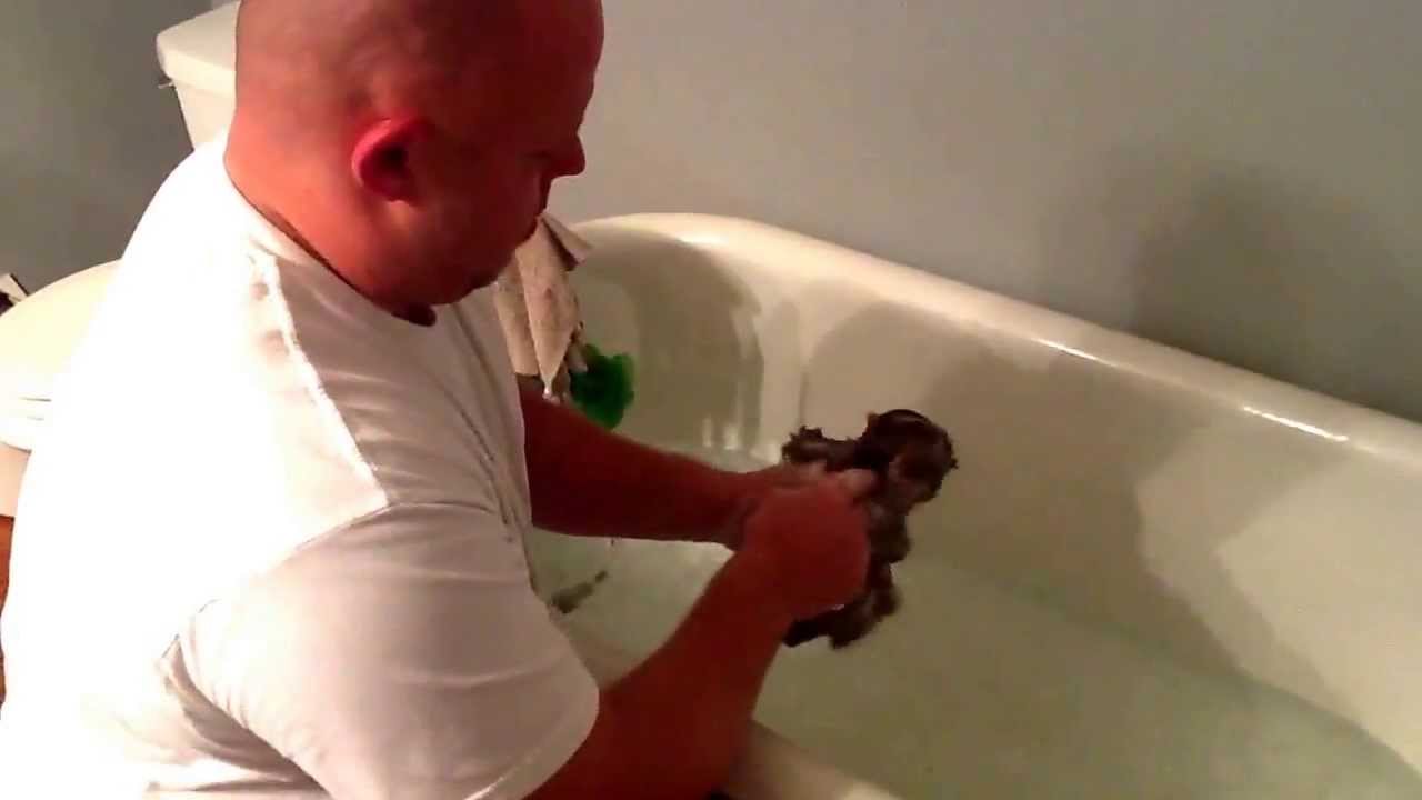 Monkey bath