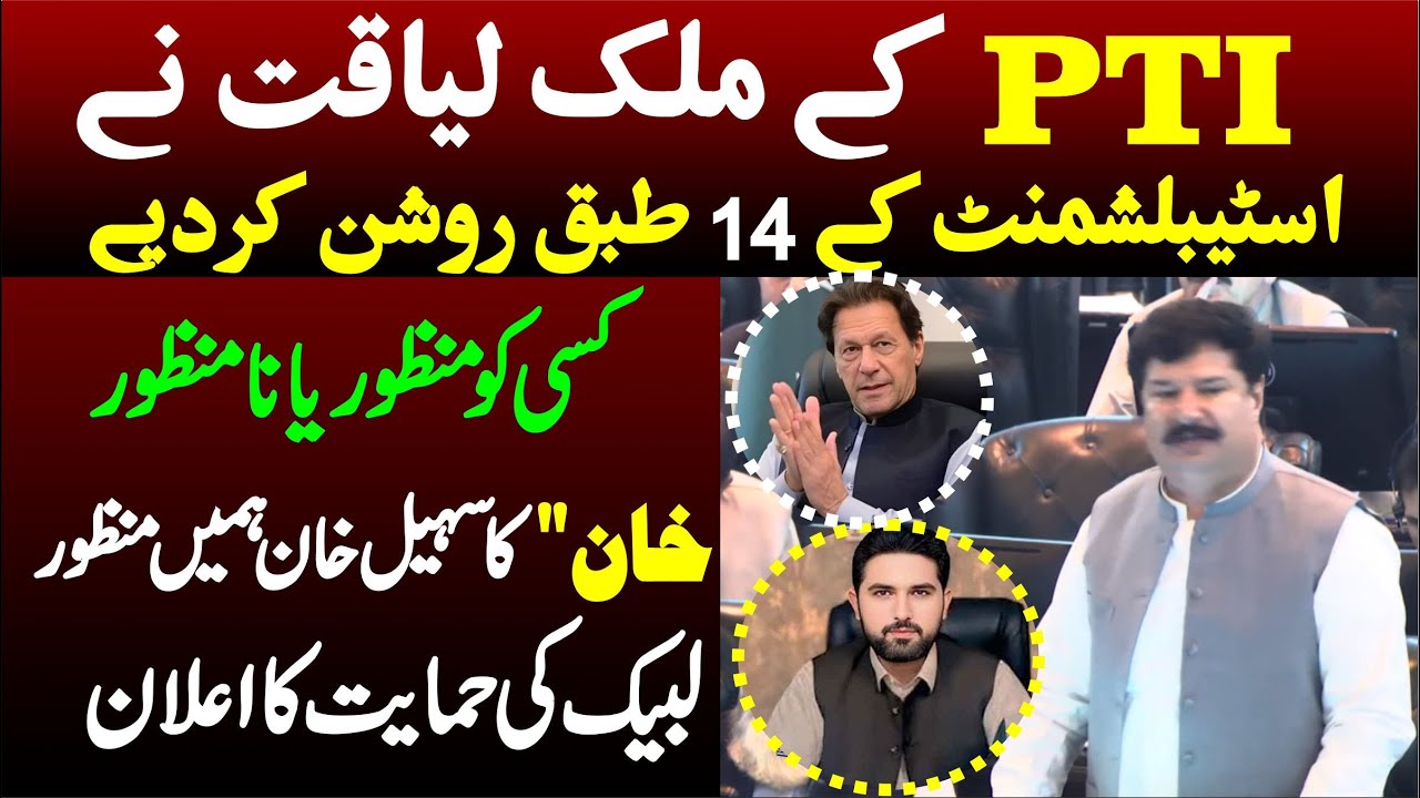 PTI MPA Malik Liaqat’s Emotional Speech on Law & Order Situation in KP Assembly