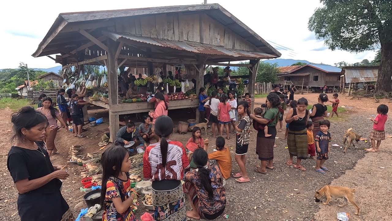 เที่ยวลาว ชมวิถีชาวลาวในชนบทลาว ตลาดน้อยริมทาง คนลาวนำของป่ามาขายอาหารพื้นบ้านตามฤดูกาล เมืองตะโอ้ย