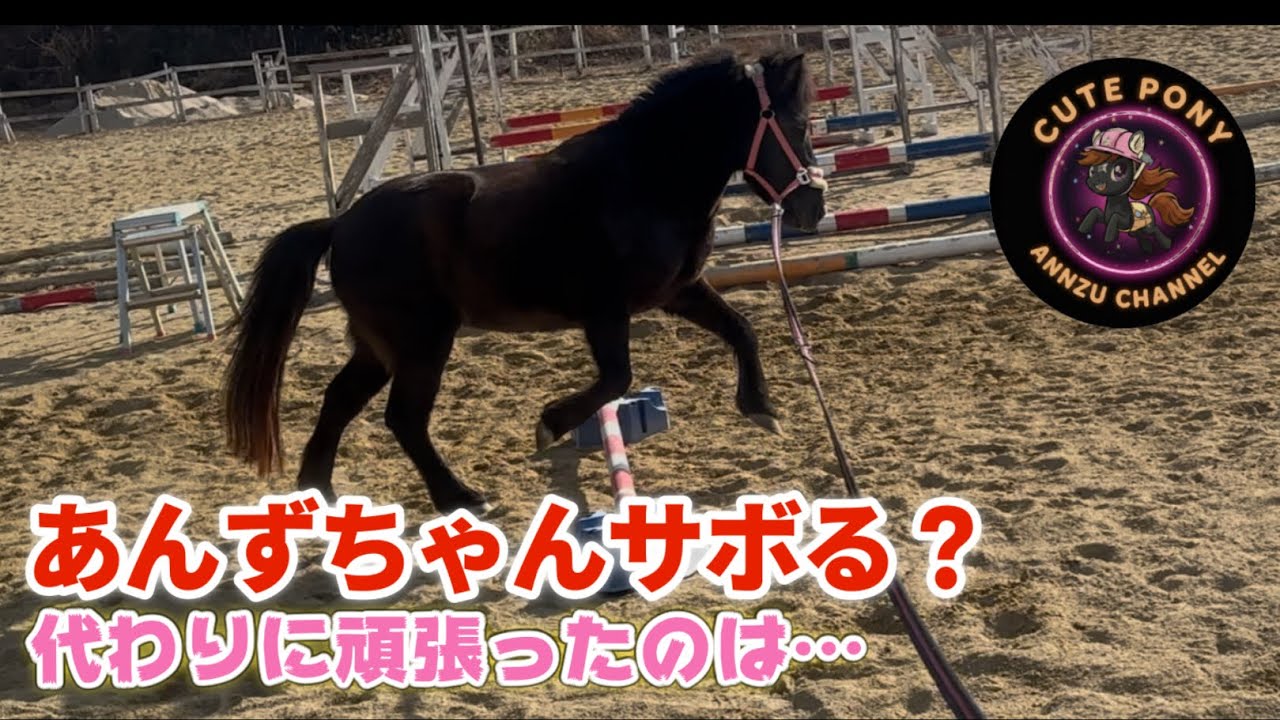 あんずちゃんサボる？代わりに頑張ったのは…？