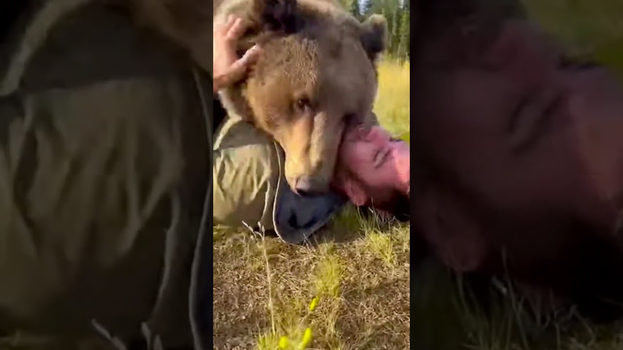 Wenn dein B&auml;r dich zu stark umarmt&hellip; 🐻