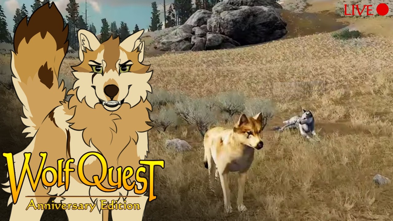 Welcoming our next litter of pups in Accurate Ironwolf!!
