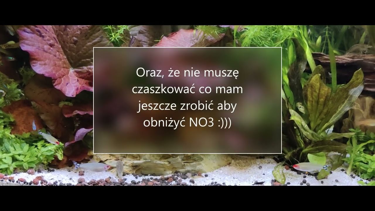(59) Walka z AZOTEM (NO3), czy bardziej z testami?