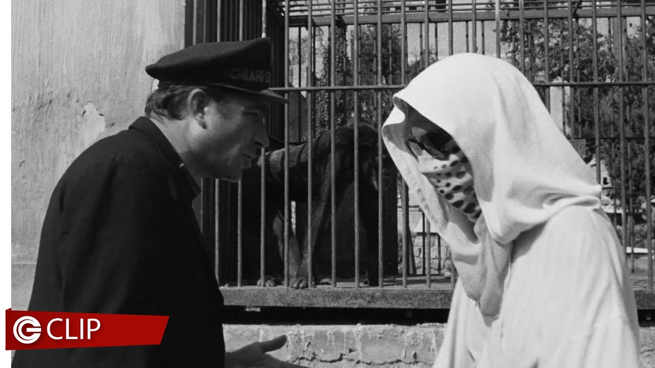 La donna scimmia - La visita allo zoo