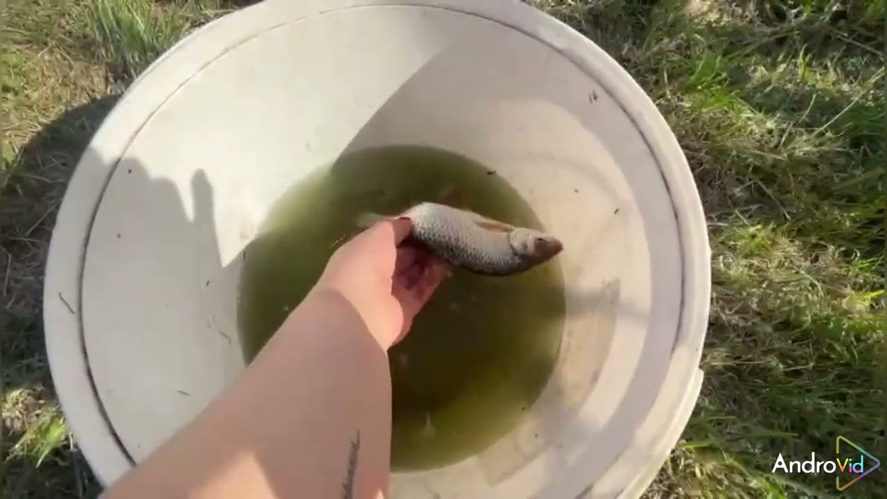 Just a spot of fishing in poland 🇵🇱 part2